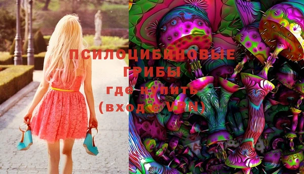 СК Алексин
