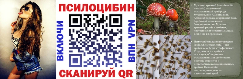 Галлюциногенные грибы MAGIC MUSHROOMS  blacksprut ССЫЛКА  Фатеж 