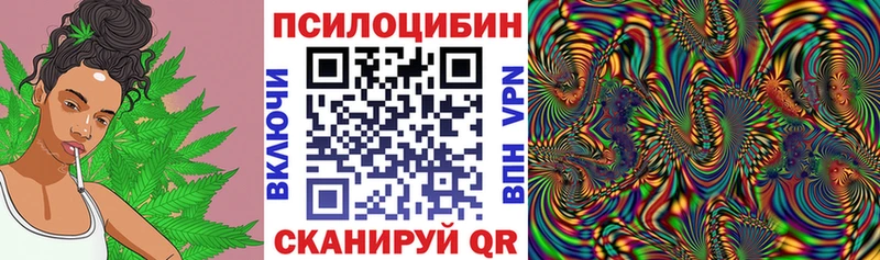Псилоцибиновые грибы Magic Shrooms Фатеж